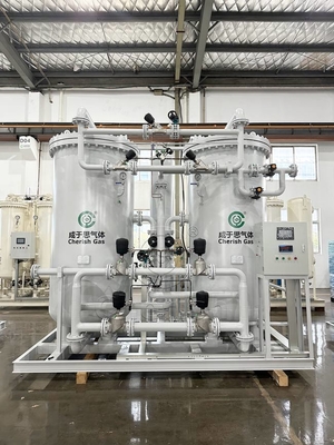 Kaydırma Montajlı Psa Azot Gaz Jeneratörü 99.99% Saflık